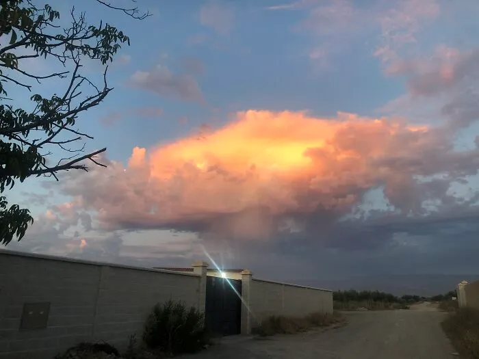 Unexpected Beauty