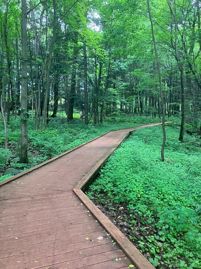 At My Favorite Birdwatching Spot Near My Grandparents House
