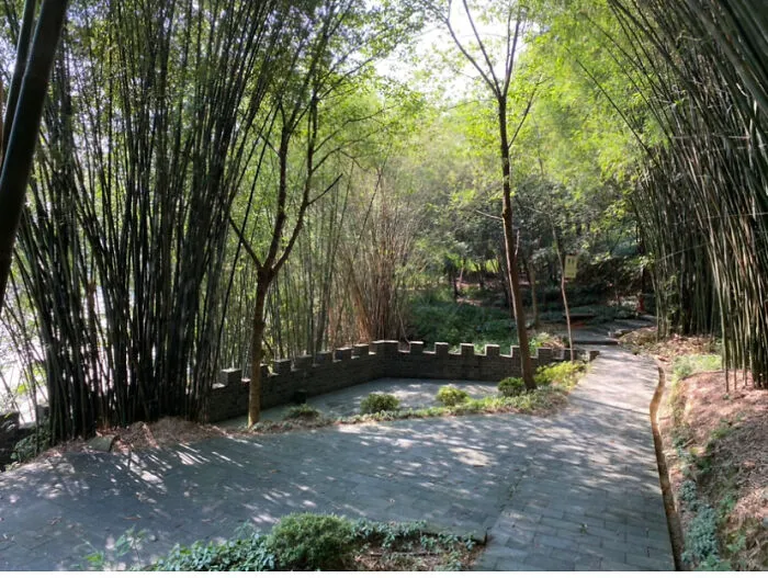 Bamboo Forest On Iron Mountain, China