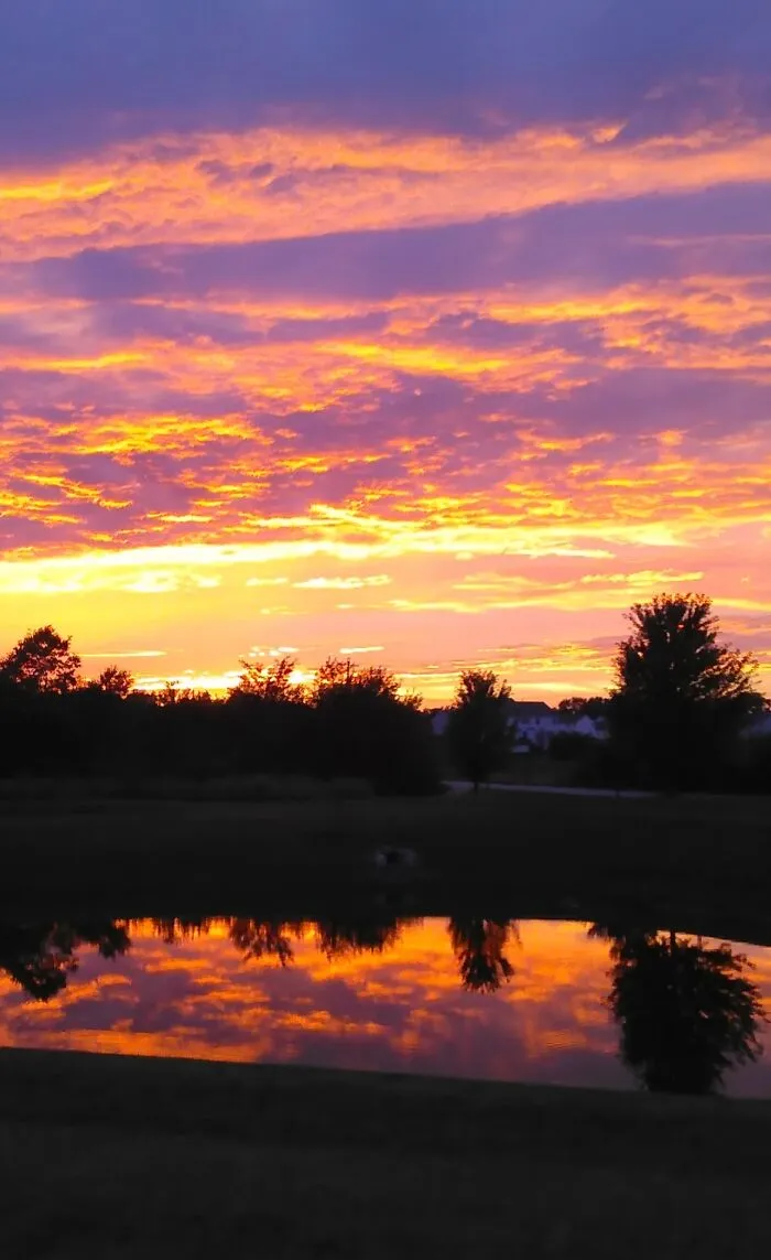 Vibrant Reflection