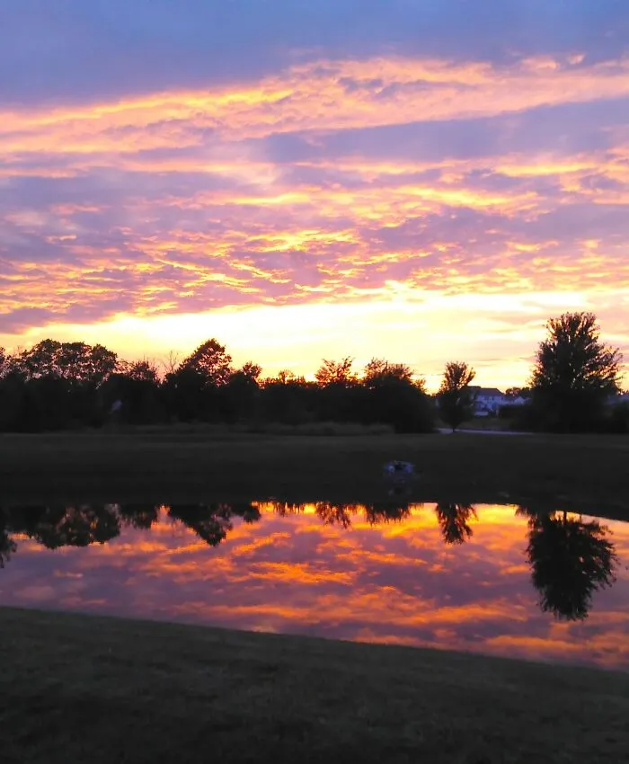 Vibrant Reflection