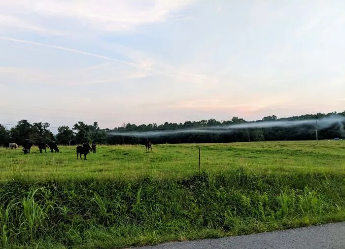 I Took Photos Of The Amazing Countryside (22 Pics)
