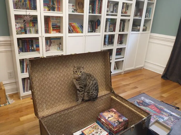 We Are Book People, Not Dining Room People Haha