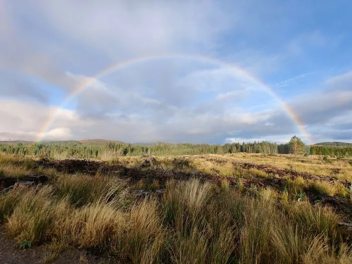 "Fogbow", Whitebridge, Highland, Scotland (Apparently A Fogbow Is A Real Thing!)