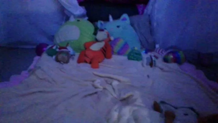 My Fort
