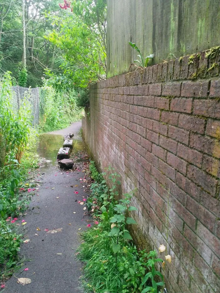This Path Is Cool