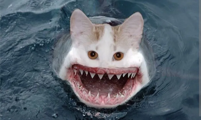 Claws Of The Deep: Feline Frenzy
