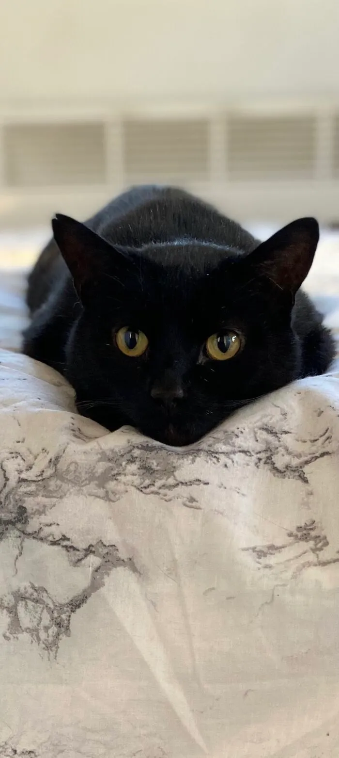 Our Lovely Boy 😍