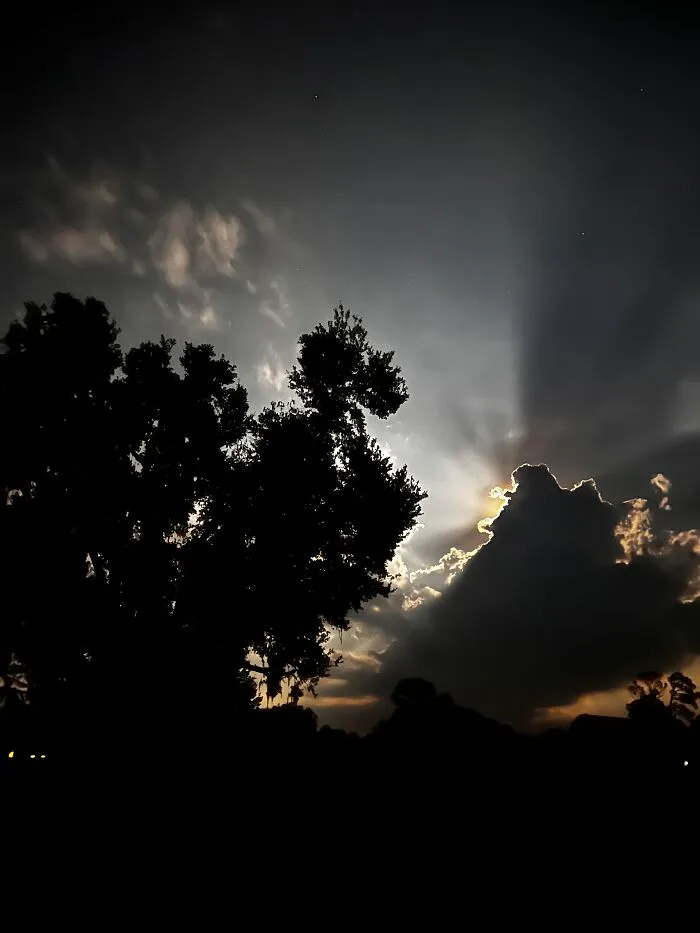 Central Florida Nights
