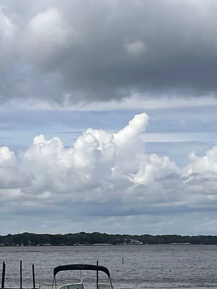 Get Your Head Out Of The Gutter… It Looks Like A Rolling Cannon