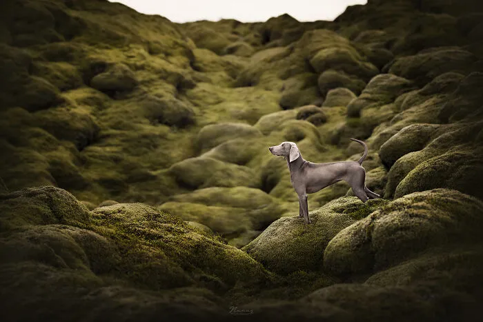 Another Planet