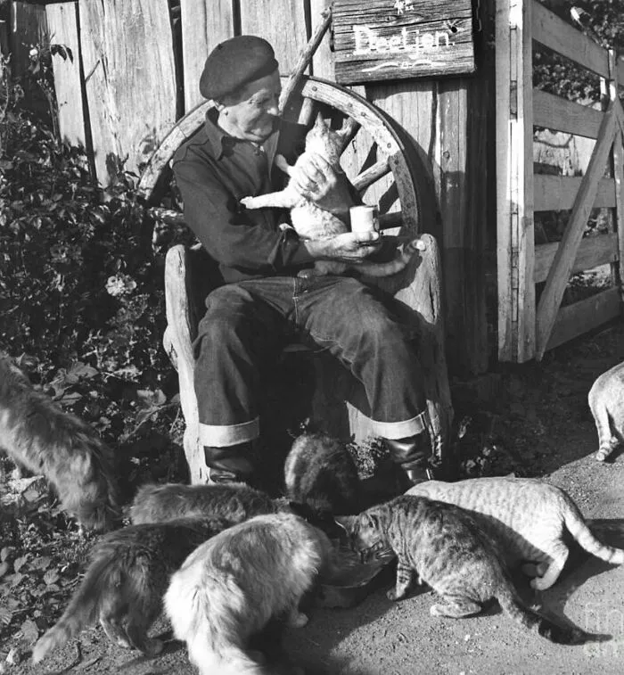 50 Fascinating Historical Photos That Might Change Your Perspective On Cats, As Shared By This Twitter Page (New Pics)