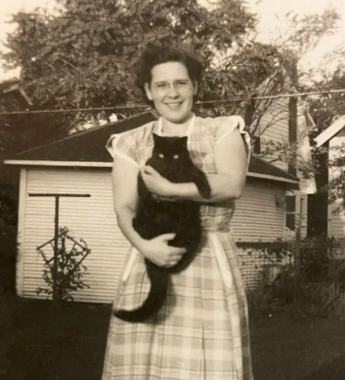 50 Fascinating Historical Photos That Might Change Your Perspective On Cats, As Shared By This Twitter Page (New Pics)