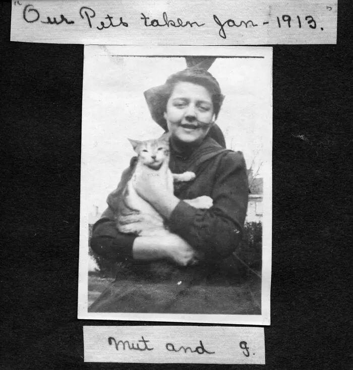 50 Fascinating Historical Photos That Might Change Your Perspective On Cats, As Shared By This Twitter Page (New Pics)