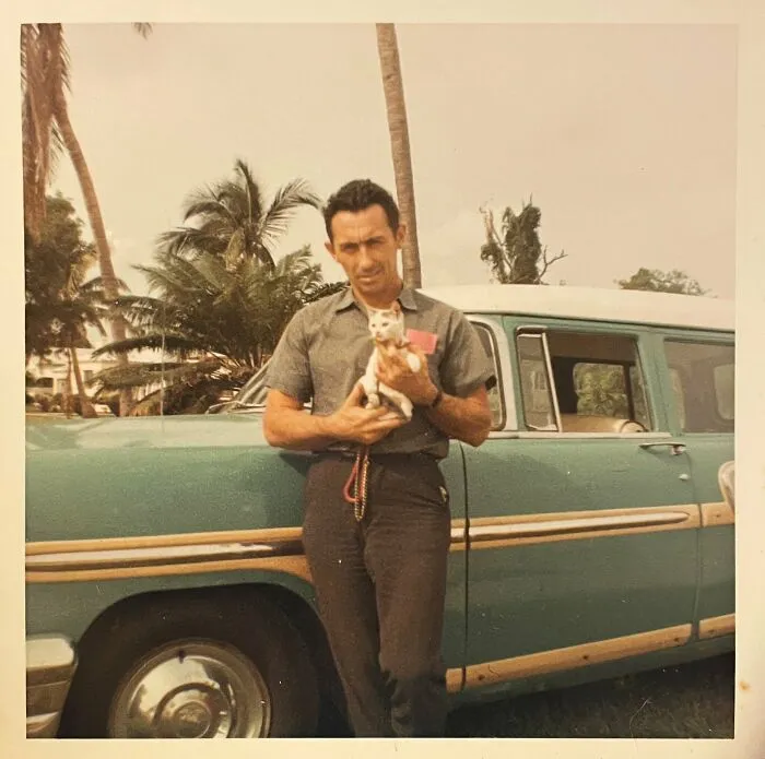 50 Fascinating Historical Photos That Might Change Your Perspective On Cats, As Shared By This Twitter Page (New Pics)