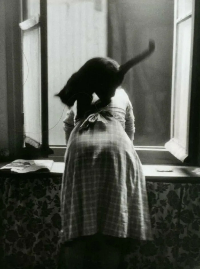 50 Fascinating Historical Photos That Might Change Your Perspective On Cats, As Shared By This Twitter Page (New Pics)