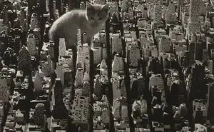 50 Fascinating Historical Photos That Might Change Your Perspective On Cats, As Shared By This Twitter Page (New Pics)