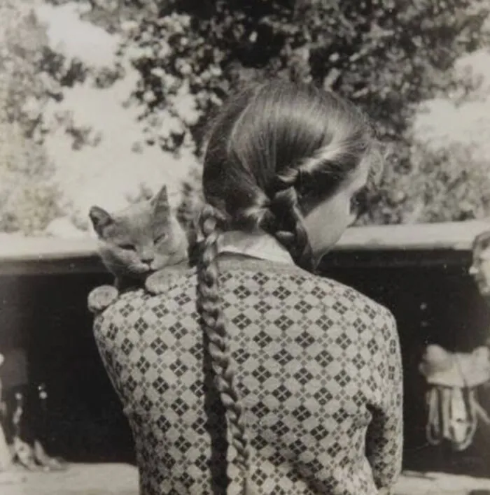 50 Fascinating Historical Photos That Might Change Your Perspective On Cats, As Shared By This Twitter Page (New Pics)