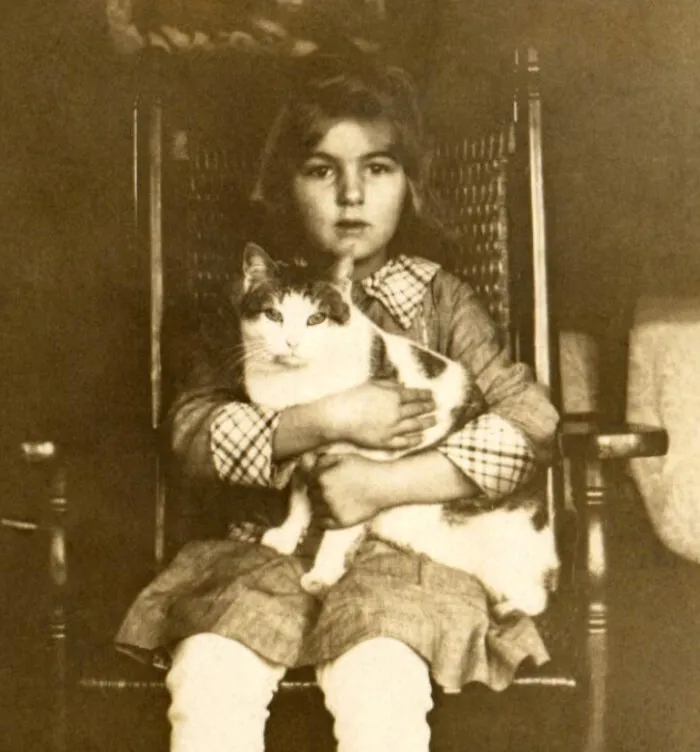 50 Fascinating Historical Photos That Might Change Your Perspective On Cats, As Shared By This Twitter Page (New Pics)