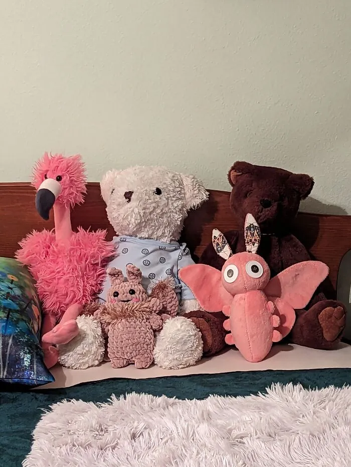 Moths, Bears, And Mimsy