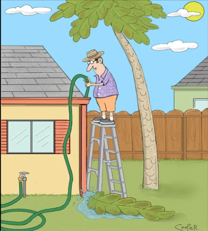 Gutter Clogged