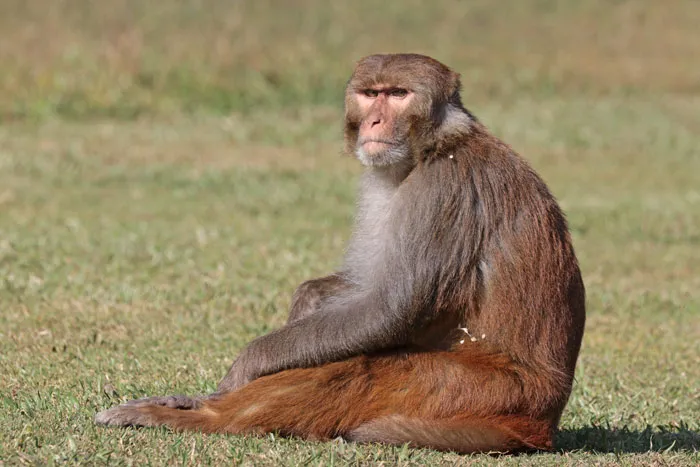 50 “Stupid Facts” That Sound Fake But Are Genuinely Real