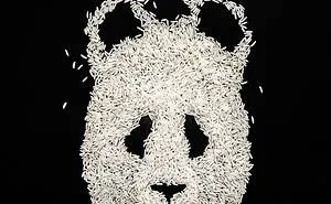 Magic Everywhere: I Turn Everyday Objects Into Something New (35 Pics)