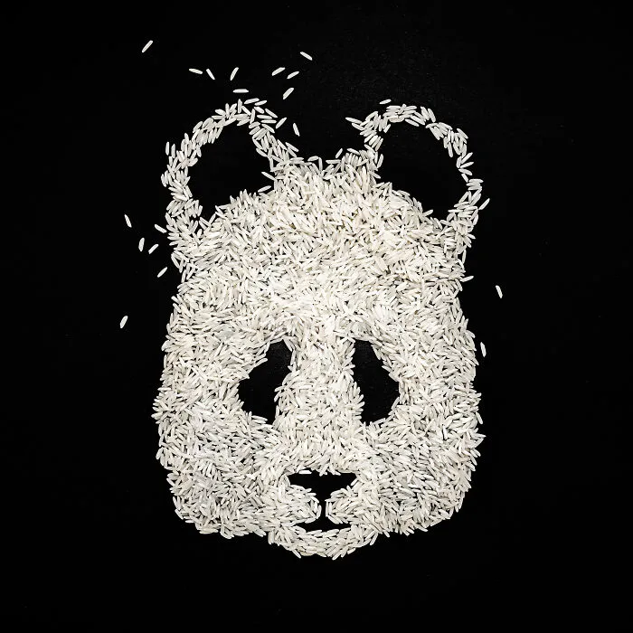 Ricebear