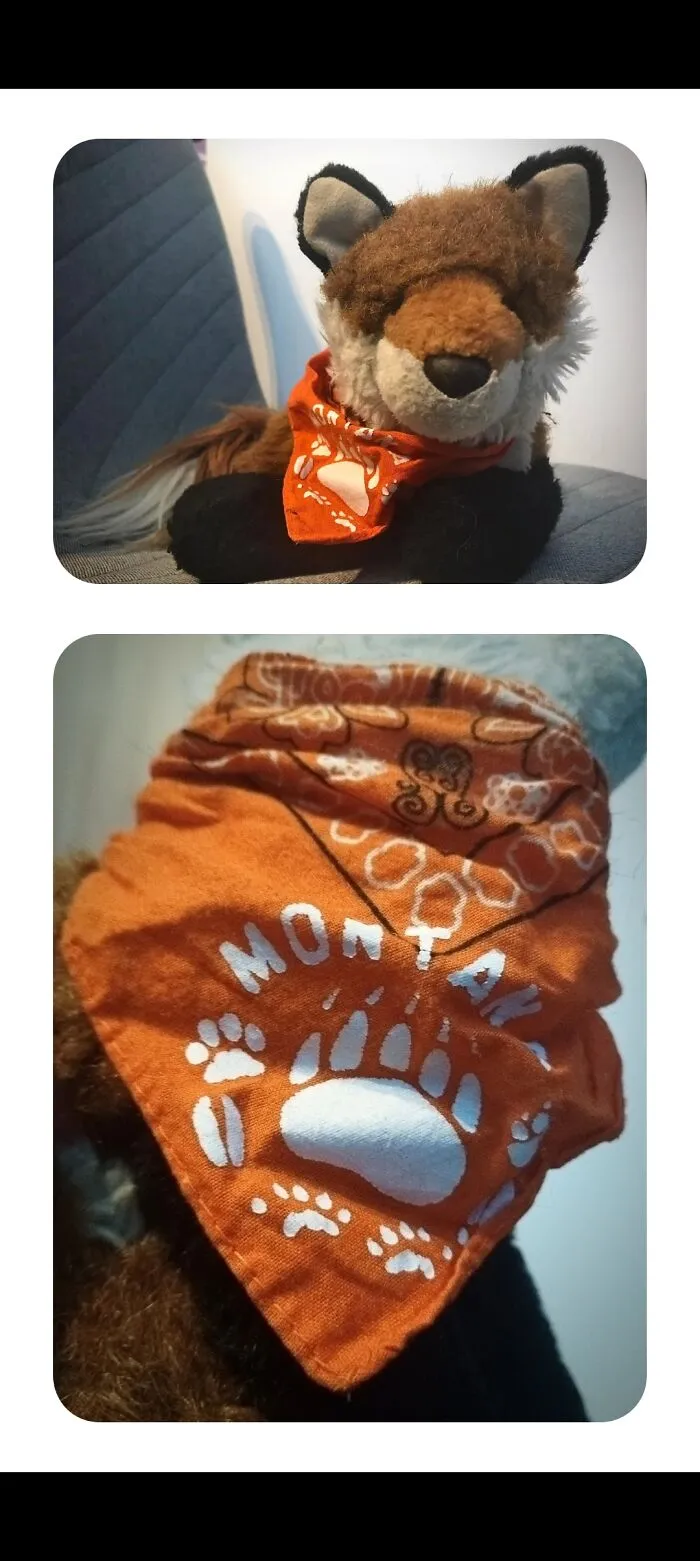 This My Stuffed Animal Fox, Which I Named Roxie. I Received It As A Gift From My Relatives In Colorado When I Was A Toddler
