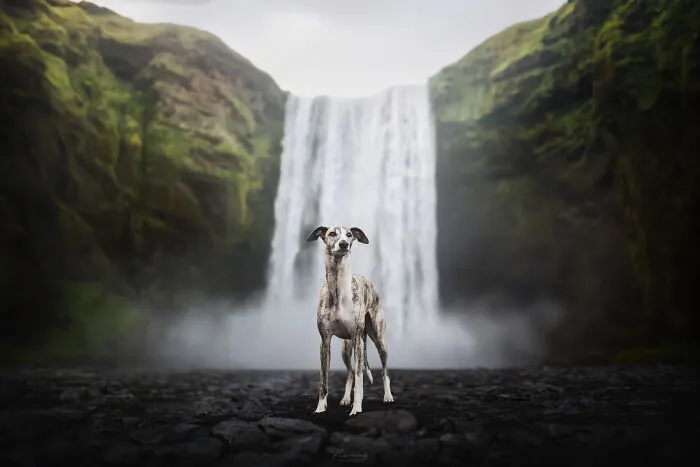 Force Of Nature
