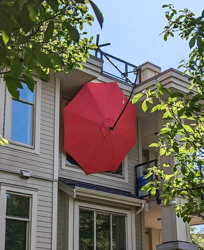 That's One Way To Beat The Heatwave