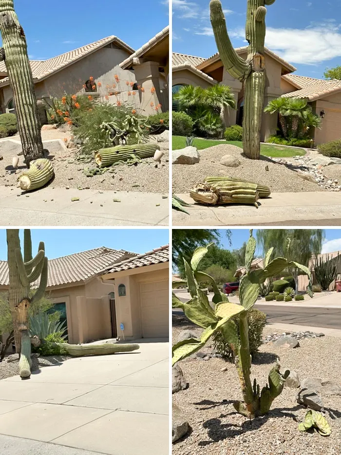 This Heatwave Is Not Normal (Arizona)