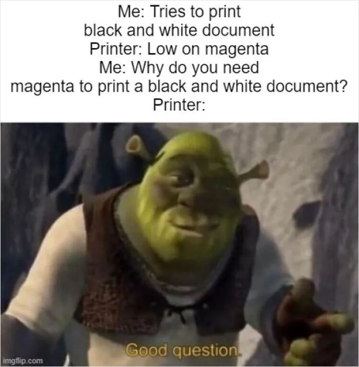 You Got Any Idea Shrek?
