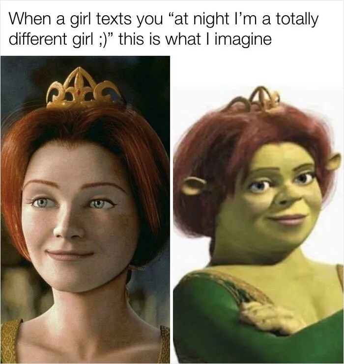 If Shrek Approves So Do I