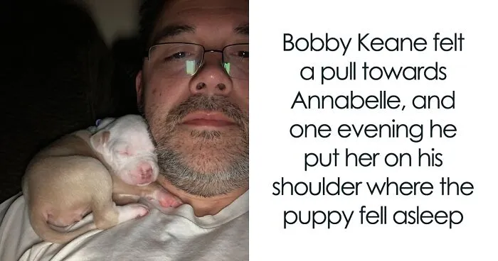 Pit Bull’s Adorable Naptime Ritual That Started At 3 Weeks Old Continues To This Day