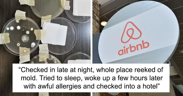 Airbnb Guest Tests Air Quality Due To Mold Smell As The Host Denied The Issue, Gets Alarming Results
