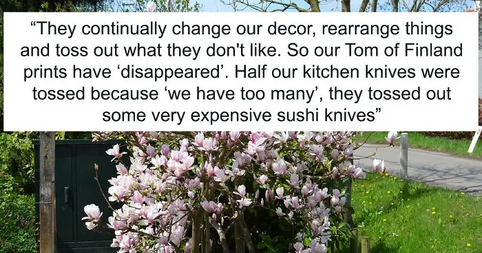 Family Drama Ensues As Entitled Woman Uproots Nice Magnolia Tree In Her Nephew's Garden