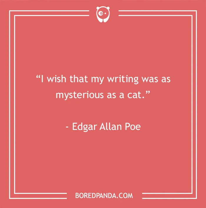 105 Cat Quotes Every Feline Fan Will Like