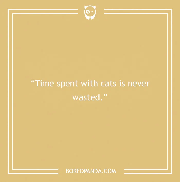 105 Cat Quotes Every Feline Fan Will Like