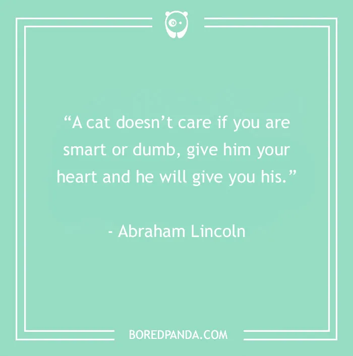 105 Cat Quotes Every Feline Fan Will Like