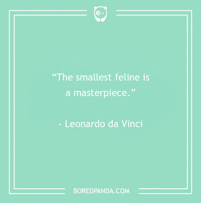 105 Cat Quotes Every Feline Fan Will Like