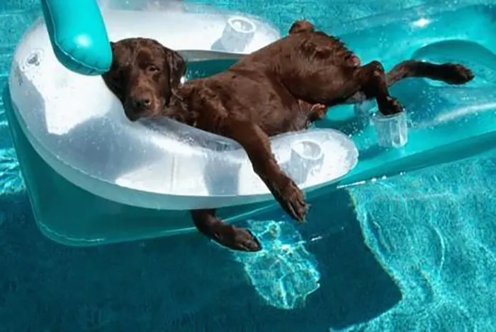 How We Survive In Greece At Summer. Wait... We Survive?