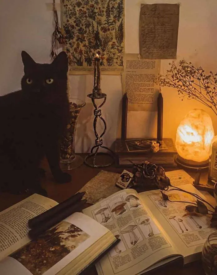 Witch Cottagecore