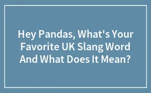 Hey Pandas, What's Your Favorite UK Slang Word And What Does It Mean? (Closed)