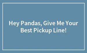 Hey Pandas, Give Me Your Best Pickup Line!