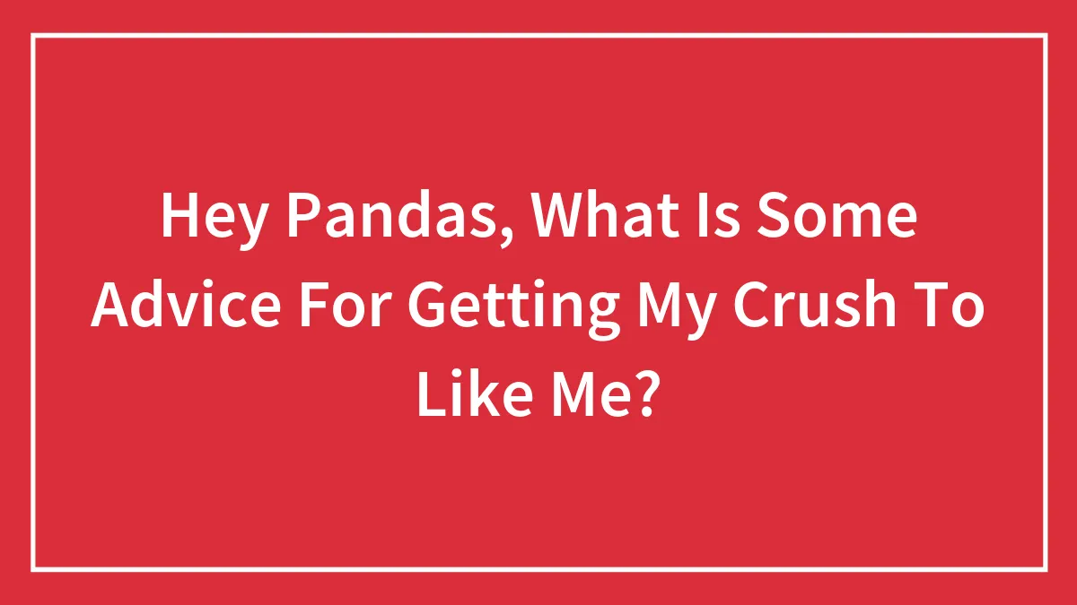 Hey Pandas, What Is Some Advice For Getting My Crush To Like Me?