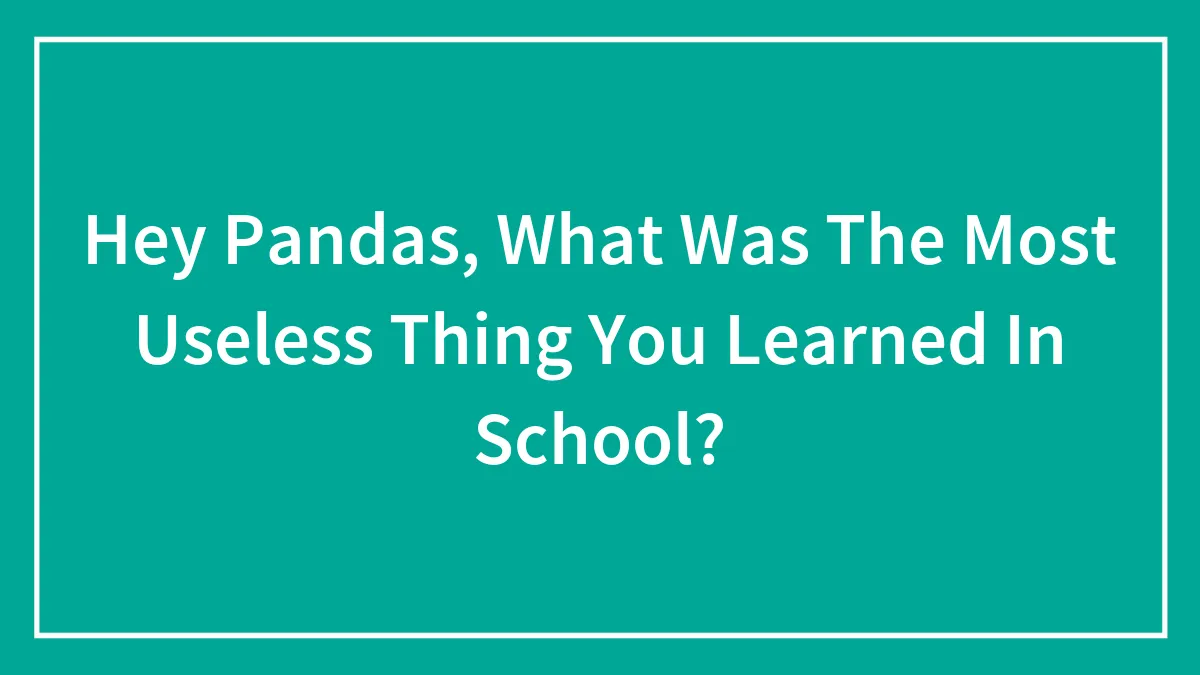 Hey Pandas, What Was The Most Useless Thing You Learned In School?