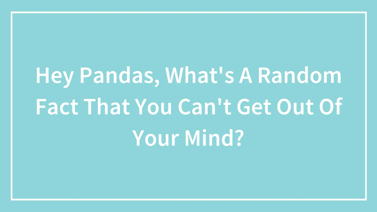 Hey Pandas, What's A Random Fact That You Can't Get Out Of Your Mind? (Closed)
