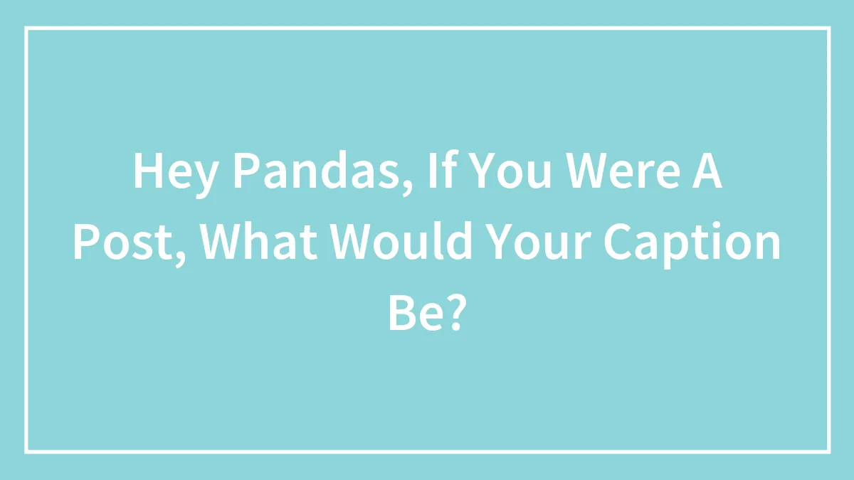 Hey Pandas, If You Were A Post, What Would Your Caption Be? (Closed)