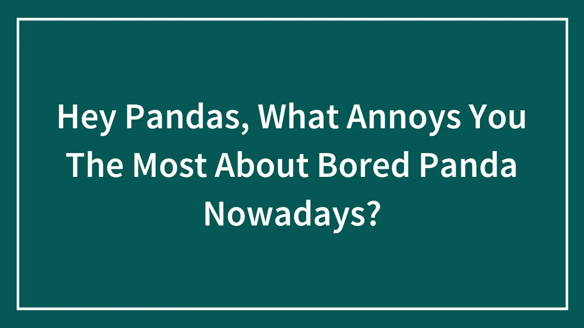 Hey Pandas, What Annoys You The Most About Bored Panda Nowadays? (Closed)